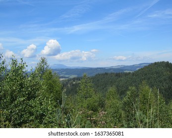 view over forest trees to far away