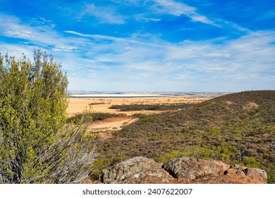 View over forested hills, wheat fields and the salt lake Lake Hinds from the Mt. Matilda Trail in Wongan Hills Nature Reserve, in the Wheatbelt of Western Australia
