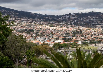 View over Funchal, Madeira with cloud dark sky and plamtrees