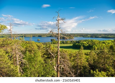 View Over Hästenäs Kyrkskog In Östergötland, Sweden.