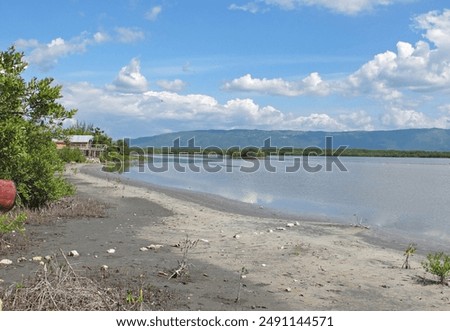 view over lower river and Black River Lower MorassBlack River, Jamaica             December 2014