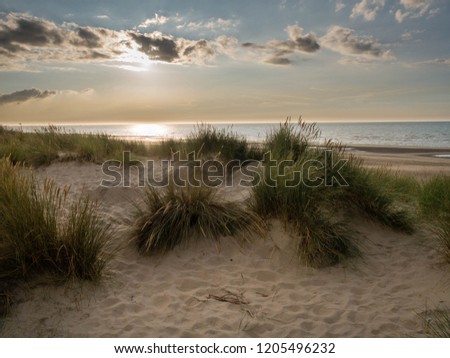 View over marram grass covered dunes towards the setting sun in northern France