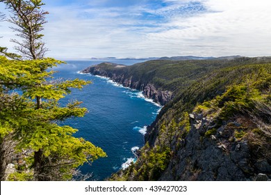 View Over Part Of The Beautiful East Coast Trail In Newfoundland, Canada.  