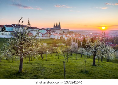 View Over Prague Skyline With From Petrin Hill At Spring