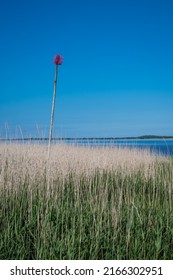 View Over Randers Fjord Near Øster Tørslev