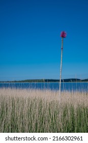 View Over Randers Fjord Near Øster Tørslev