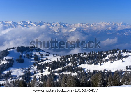 Similar – winter landscape Forest