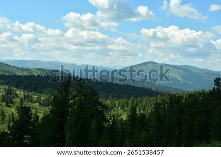 View over the tops of tall cedars to intermountain valleys with dense coniferous taiga under a summer cloudy sky. Ergaki, Krasnoyarsk Krai, Siberia, Russia.
