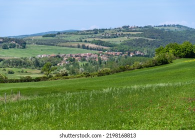 View Over Tuscan Hills Close To Siena