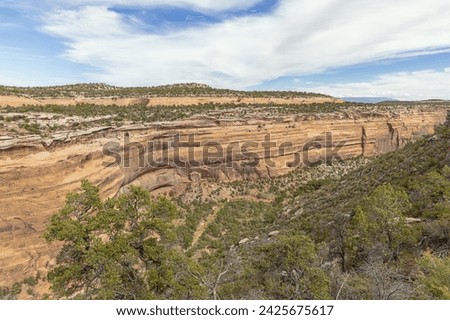 View over Upper Ute Canyon in the Colorado National Monument