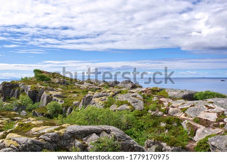 View over Vestfjord from the coast of Lofoten in a summer day