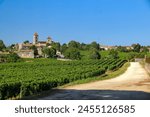 View over the vineyards of Bordeaux