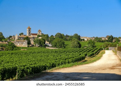 View over the vineyards of Bordeaux - Powered by Shutterstock