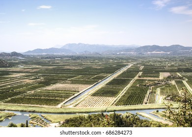 View Over The Vineyards Of The Dubrovnik Riviera, Croatia