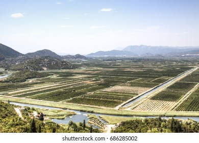 View Over The Vineyards Of The Dubrovnik Riviera, Croatia