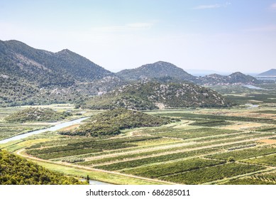 View Over The Vineyards Of The Dubrovnik Riviera, Croatia