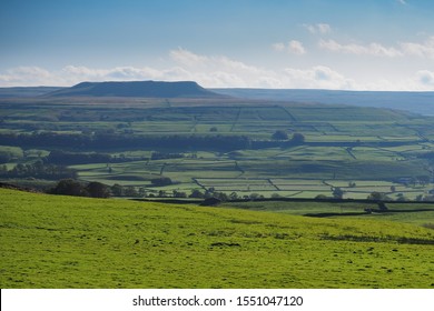 View over Wensleydale and Addlebrough hill overlooking green fields, dry stone walls and trees against a cloudy blue sky, near Askrigg, Yorkshire Dales, UK