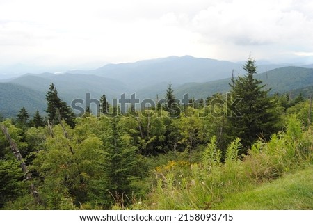 View overlooking the smoky mountains from the top of the Blueridge Parkway. Luscious greenery and pines in the foreground.