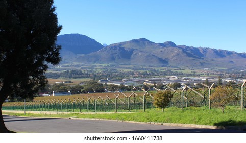 View Of Paarl, South Africa