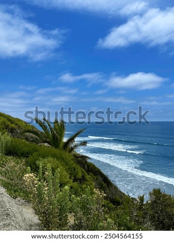View of the pacific ocean surfers and waves from the Cardiff trail in san diego, california