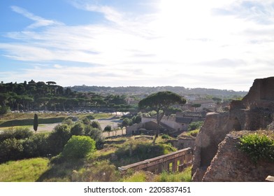 View From The Palatine Hill, Rome.