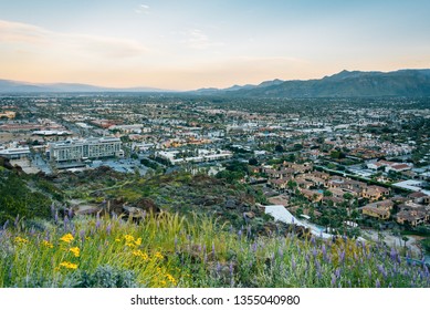 View Of Palm Springs At Sunset, From The Skyline Trail In Palm Springs, California