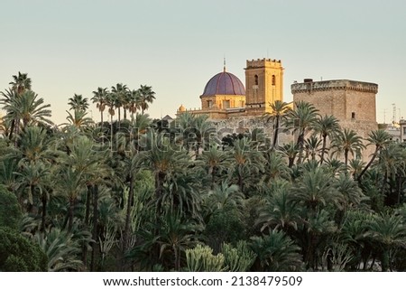 View of the Palmeral of Elche and view of the Altamira castle and the blue dome of the Santa María basilica, located in the Valencian Community, Alicante, Elche, Spain