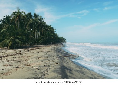 View Of Palomino Beach In Colombia     