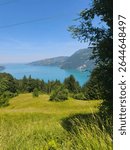 View in Panorama trail, Aeschiried
