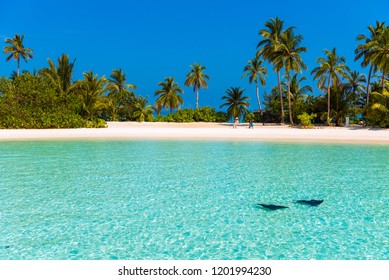 Plage Vue Du Ciel Images Stock Photos Vectors Shutterstock