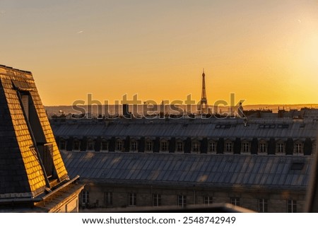 View of Paris and Eiffel Tower and rooftops from above. Beautiful sunset over Paris, France. High quality photo