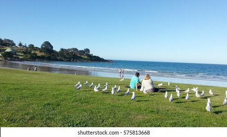 Devonport Australia Images Stock Photos Vectors Shutterstock