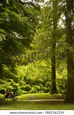 view of a park with huge trees and a woman with kids is sitting on the branch.They are looking at the trees.Their faces are not shown.