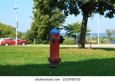 A view of the park with a red fire hydrant with a blue cap. A red car, trees and street light poles are seen in the distance.