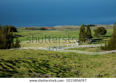 View of the parker cattle ranch on the north shore of the Big Island, Hawaii