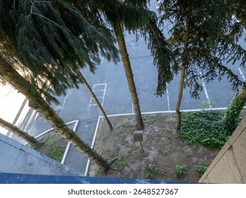 A view of a parking lot with trees in the foreground.