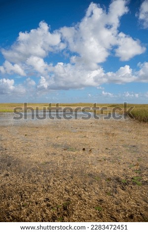 Nach der Sturmflut Nordsee