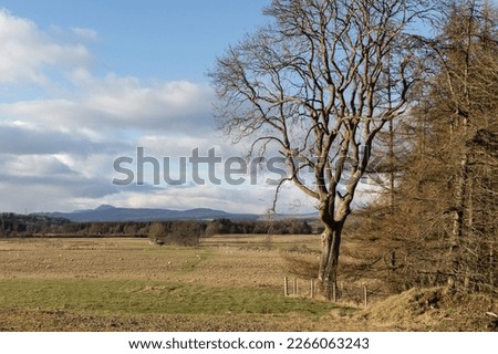 View past trees and fields to Ben Lomond and Conic Hill, seen from the John Muir Way and West Highland Way shared path near Dumgoyach, Strathblane valley, Central Scotland. 