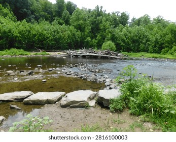 View of the Patapsco River