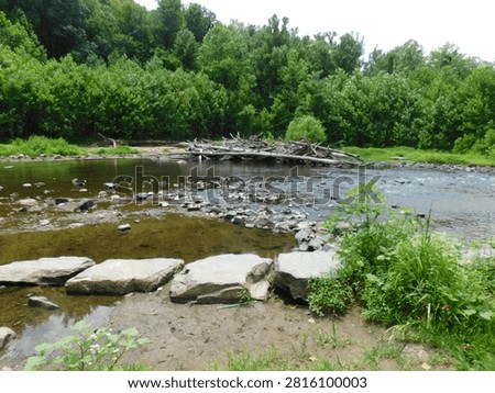 View of the Patapsco River