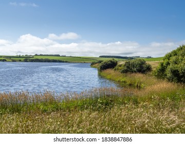 104 Cornwall Devon Border Images, Stock Photos & Vectors | Shutterstock