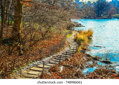 View Of A Path In Central Park In New York City In Winter