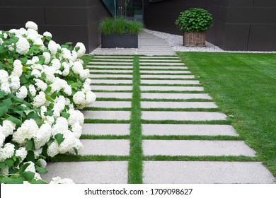 View of the path in the garden of natural stone along which the lawn is located and white hydrangea grows.