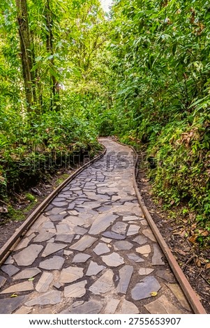 A view of the path leading to the Crayfish Waterfall on Basse Terre, Guadeloupe on a bright sunny day