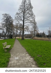 View of pathway with bench in park