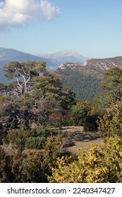 View of Pedraforca mountain from Pla de Bussa - Shutterstock ID 2240347427
