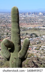 View Of Phoenix, Arizona From The Mormon Trail, South Mountain Park