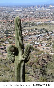 View Of Phoenix From The Mormon Trail, South Mountain Park