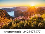 View from Pico do Arieiro of mountains over clouds with Pride of Madeira flowers and blooming Cytisus shrubs on sunset with sunburst. Madeira island, Portugal