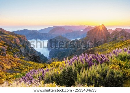 Image, Stock Photo View of the Pico de Teide in a distance from the Mirador de Abrante on the island La Gomera